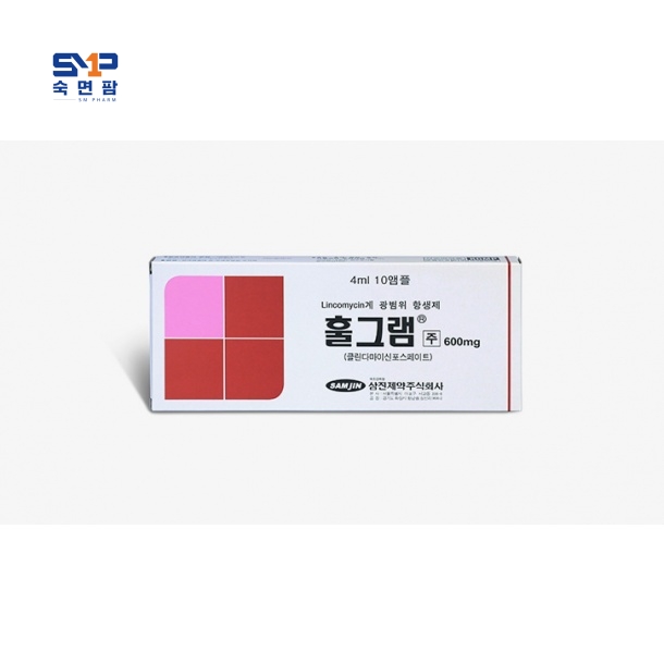 훌그램 주사 600mg/4ml*10앰플